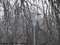 Imagine atasata: Bega - 2015.03.13 - 02.jpg